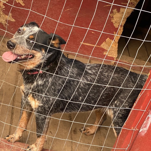 Meet your Posher, James - Picture 1 of 1